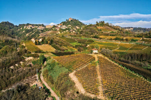 Cascina Lanzarotti - New Winery