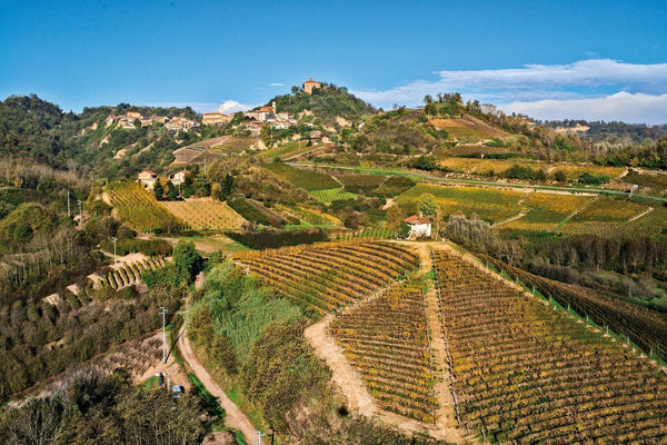 Cascina Lanzarotti - New Winery