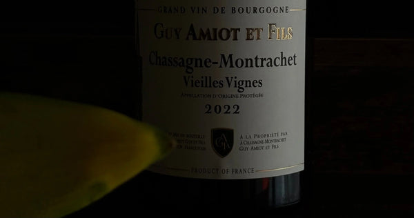 En Primeur Burgundy 2022 — Now Open to the Public