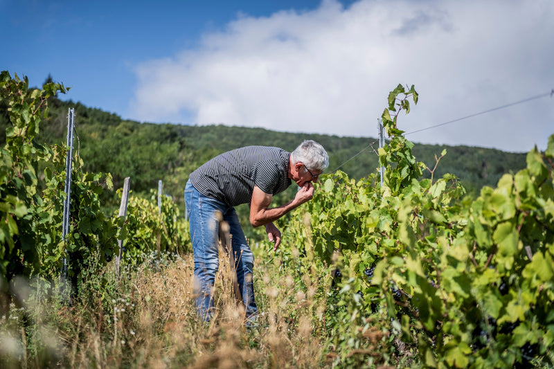 Isabelle et Bruno Perraud