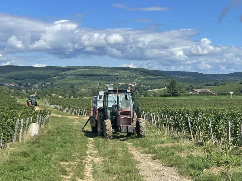 Domaine des Roches Novae