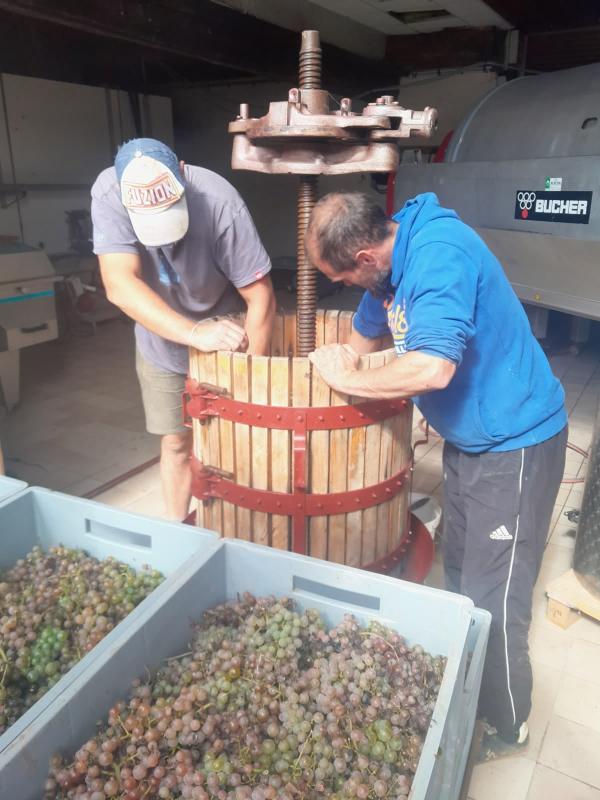 Domaine des Roches Novae