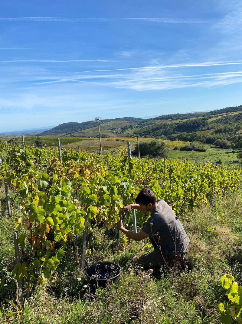 Isabelle et Bruno Perraud
