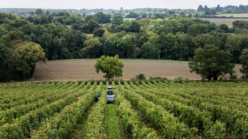Domaine de Haute-Perche