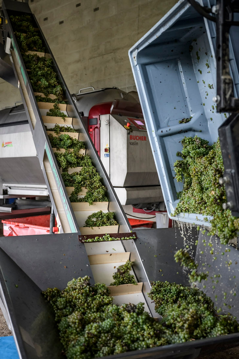 Domaine de Haute-Perche