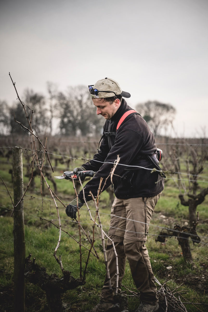 Domaine de Haute-Perche