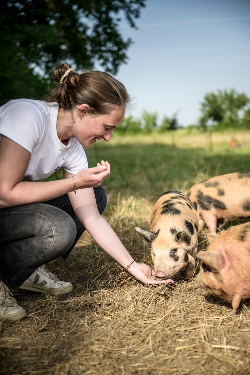Domaine de Haute-Perche
