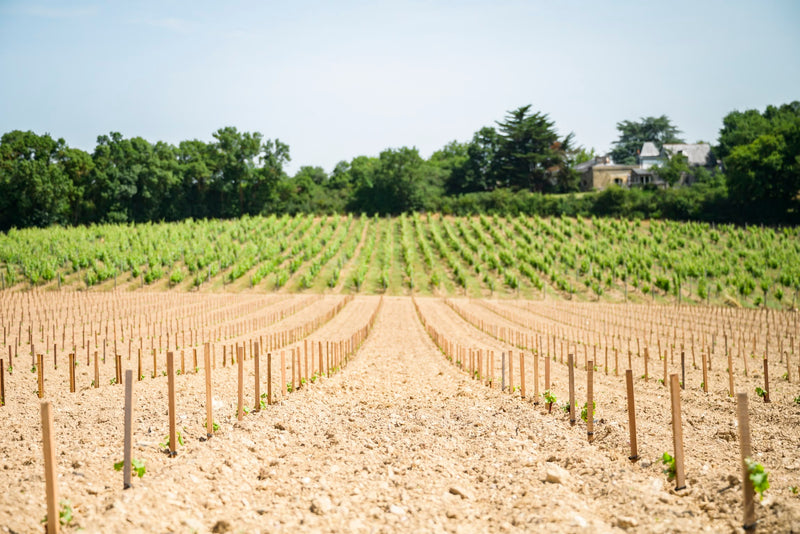 Domaine de Haute-Perche