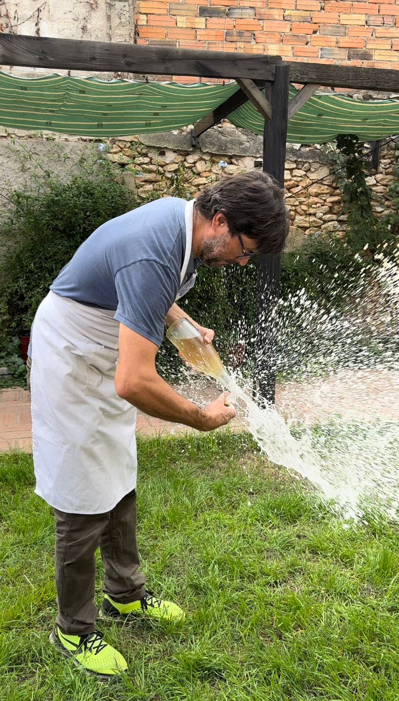 Oriol Perez de Tudela