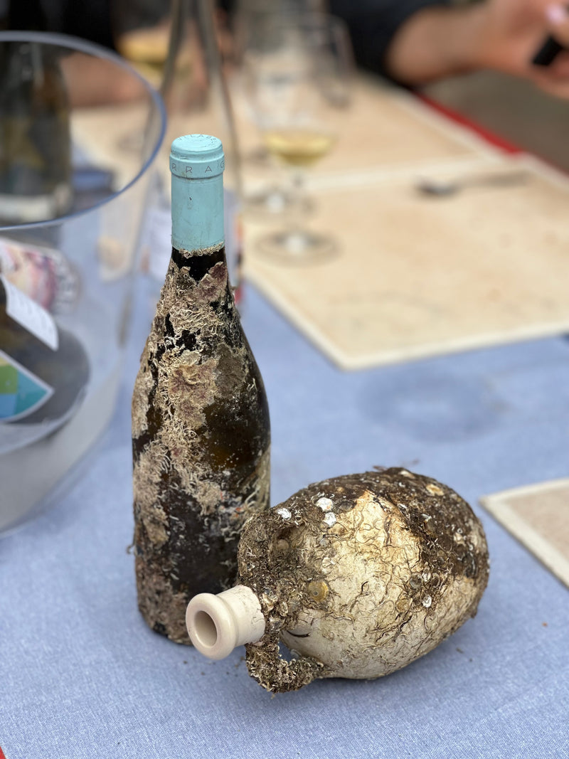 Oriol Perez de Tudela