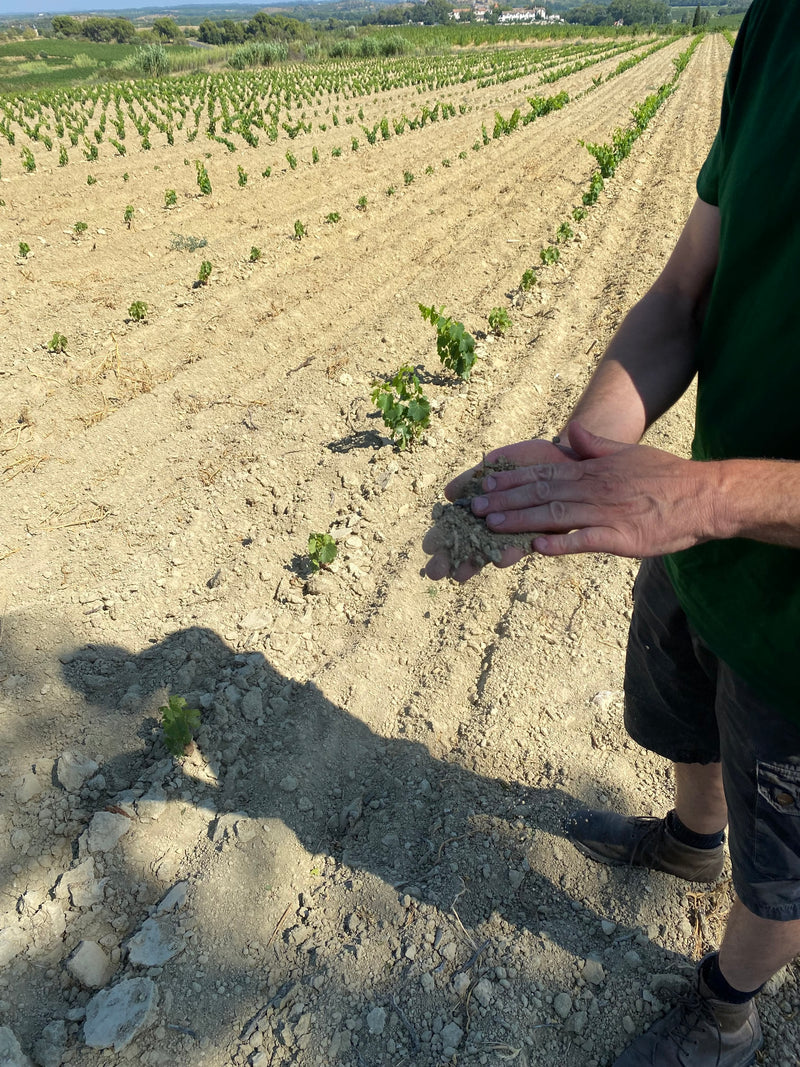 Domaine Coste-Rousse