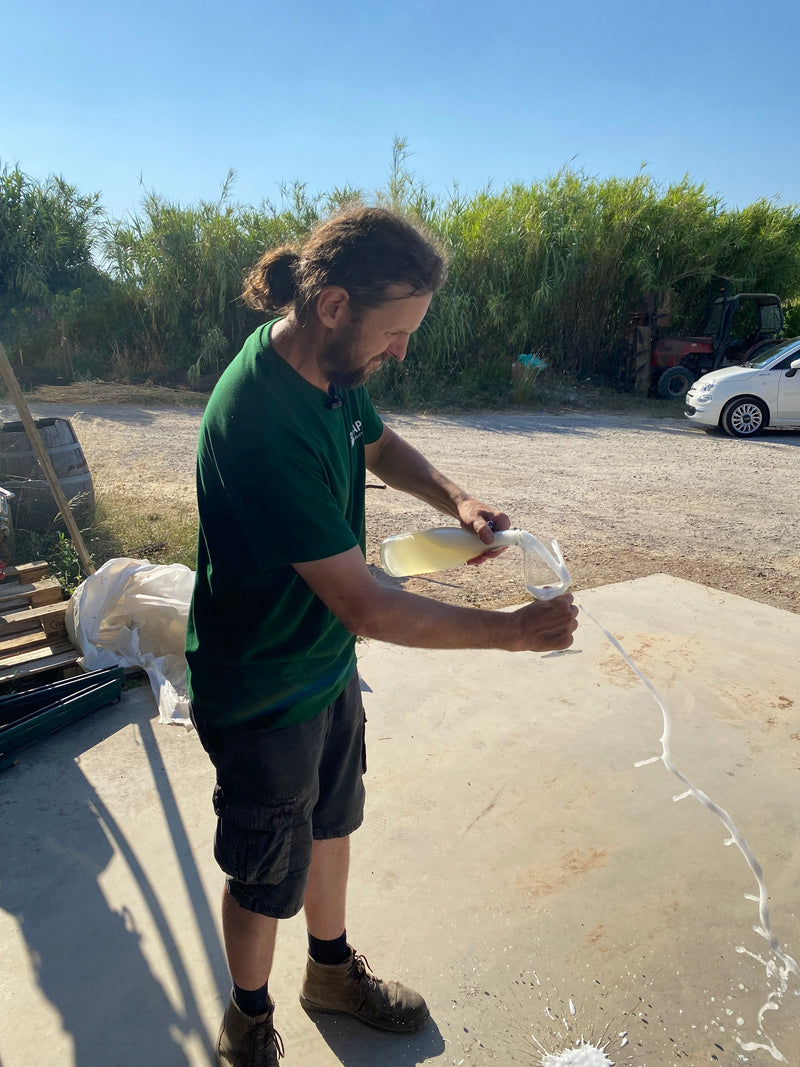 Domaine Coste-Rousse