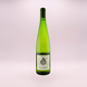 Picpoul 2025