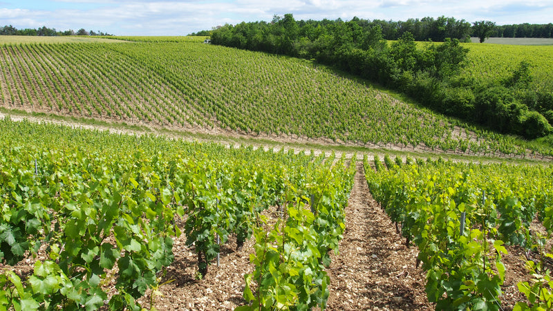 Domaine des Pérégrins