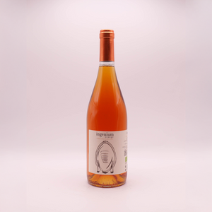 Ingenium Orange 2023