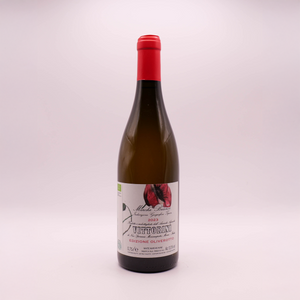 Marche Bianco Edizione 2024