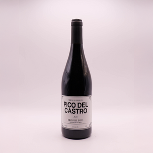 Pico del Castro 2022