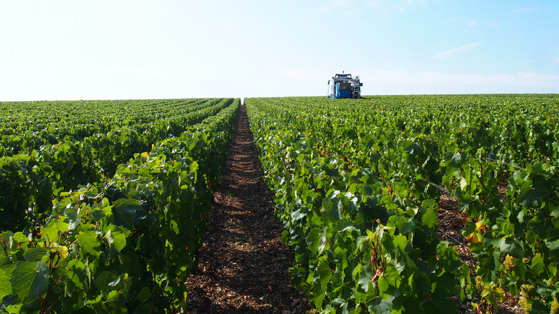 Domaine des Pérégrins