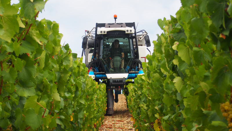Domaine des Pérégrins
