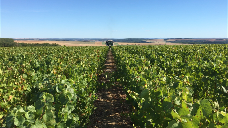 Domaine des Pérégrins