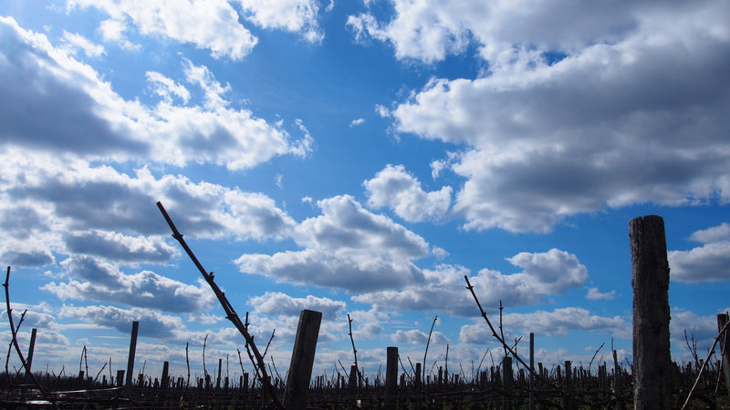 Domaine des Pérégrins