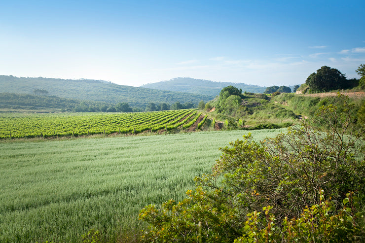 Finca Viladellops