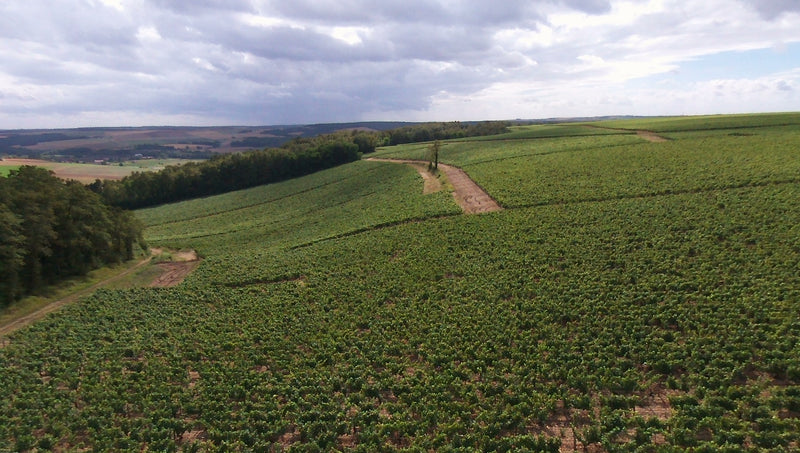 Domaine des Pérégrins