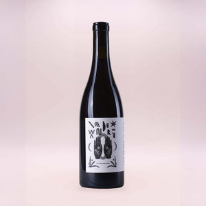 Wanderer Tinto 2025